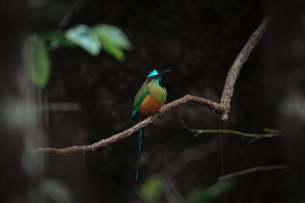 Que savoir sur l'apprentissage du Tawhid ?