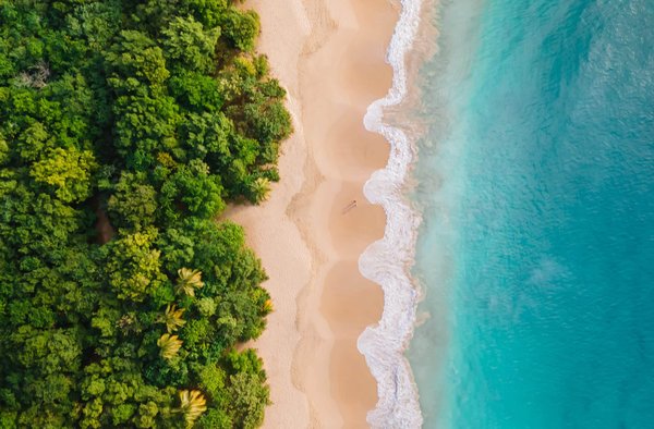 Pourquoi voyager en Martinique ?