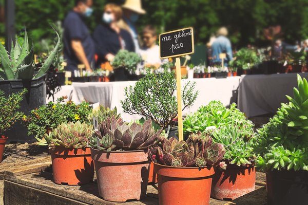 Quels sont les sujets retrouvés dans les salons de l'environnement?