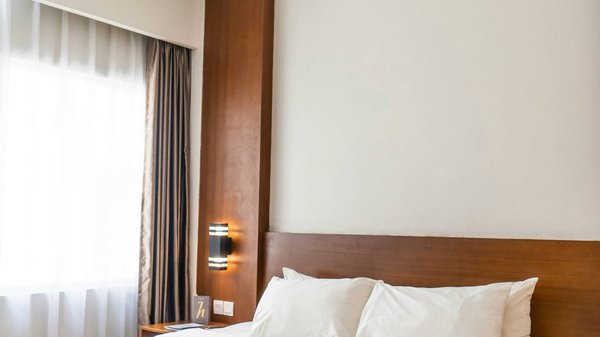 Solutions efficaces contre les punaises de lit pour une maison saine